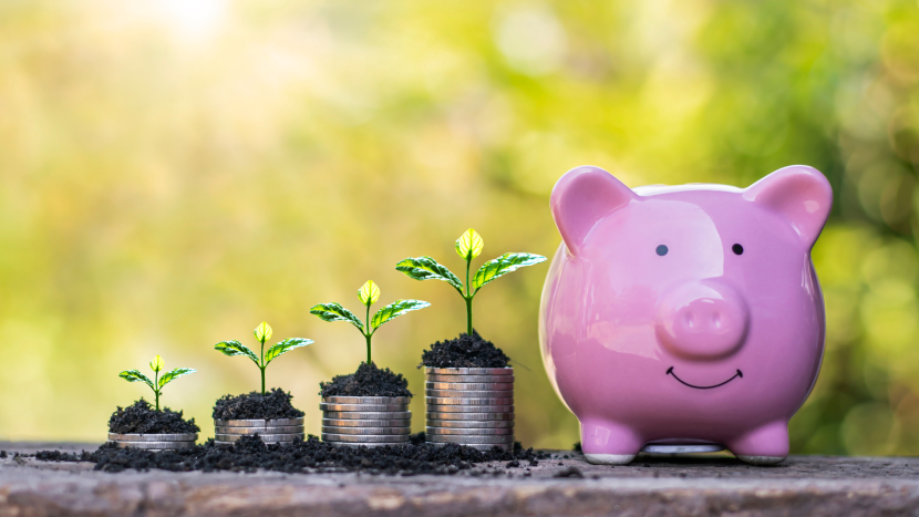 investment options